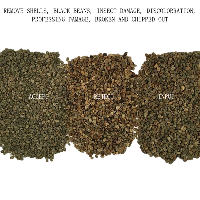 Selezionatore verde di colore di 128 dei canali chicchi di caffè per Cherry Separating