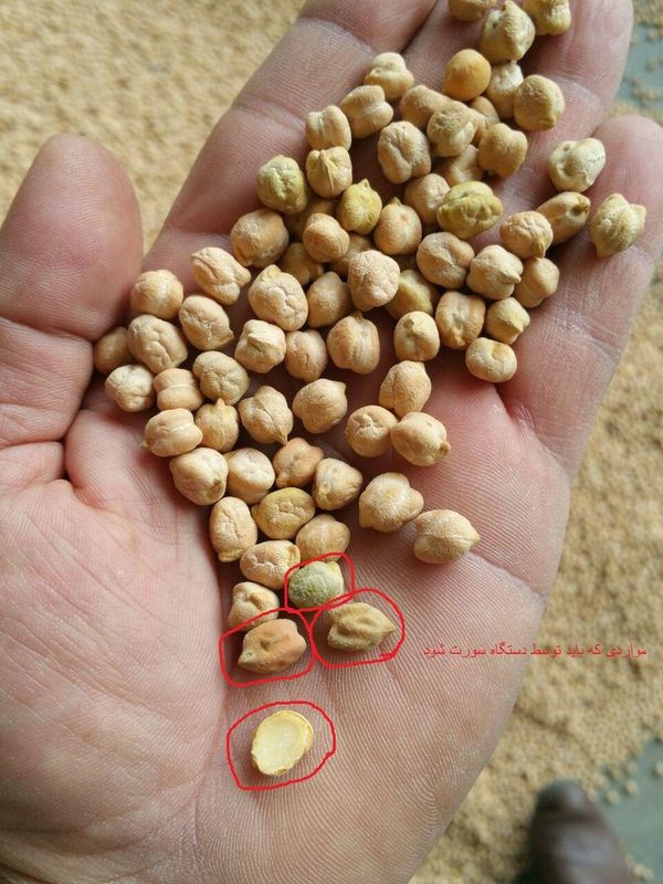 Sensore ottico del CCD di Bean Color Sorter With di 192 canali