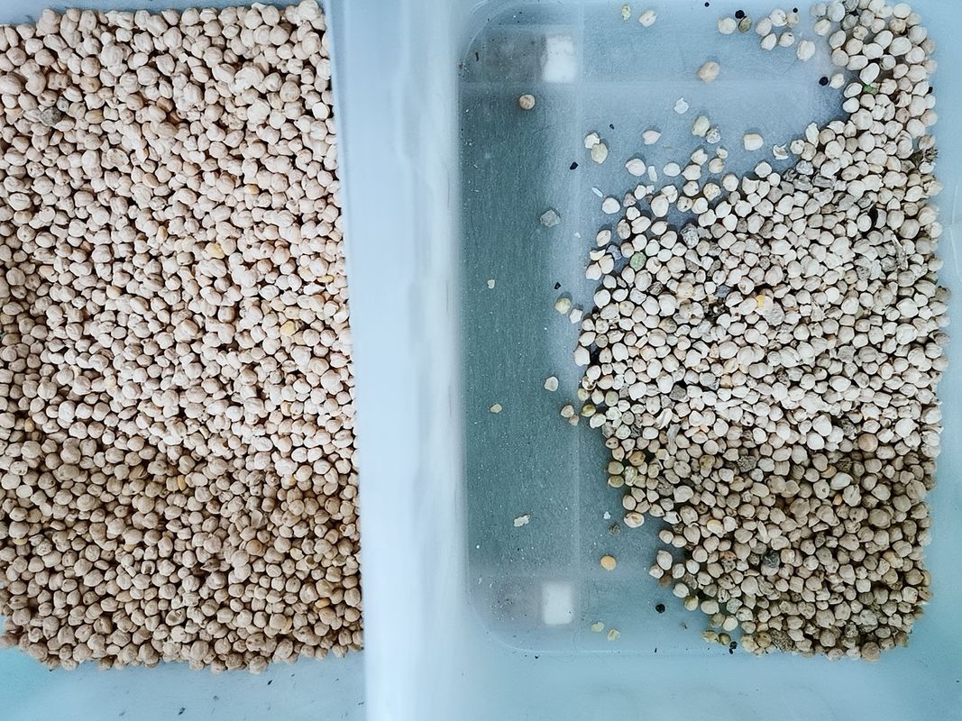Sensore ottico del CCD di Bean Color Sorter With di 192 canali