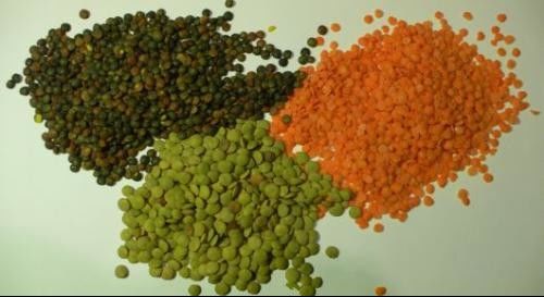 Selezionatore Dal Sorter Machine di colore della lenticchia del vaglio di colore della lenticchia