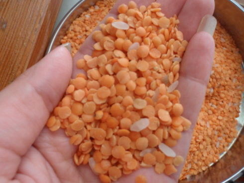 Selezionatore Dal Sorter Machine di colore della lenticchia del vaglio di colore della lenticchia