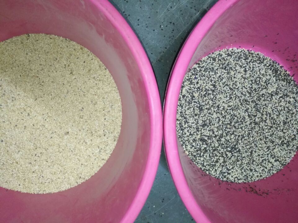 Selezionatore Dal Sorter Machine di colore della lenticchia del vaglio di colore della lenticchia