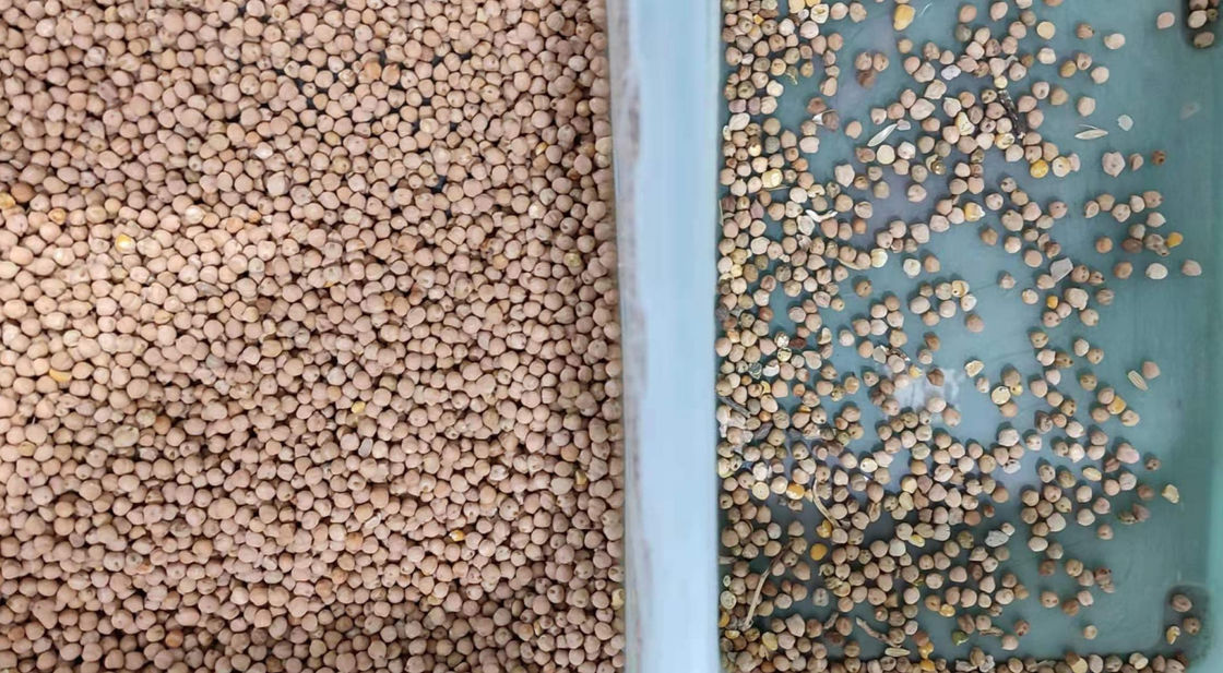 i fagioli 800kg/H colorano il selezionatore con una telecamera CCD di alta risoluzione di 5400 pixel