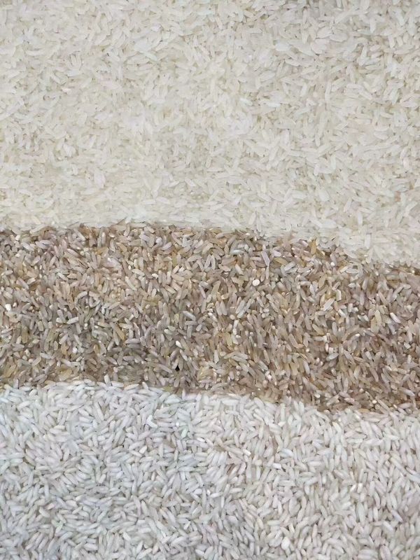 Vaglio di Paddy Broken Glutinous Rice Color del selezionatore di colore del riso di 5 Tons/H