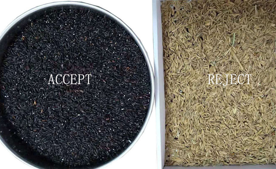 Selezionatore di colore del riso scottato sensore del CCD con il bloccaggio di rappresentazione di Toshiba HD