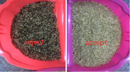 Selezionatore di colore del riso scottato sensore del CCD con il bloccaggio di rappresentazione di Toshiba HD