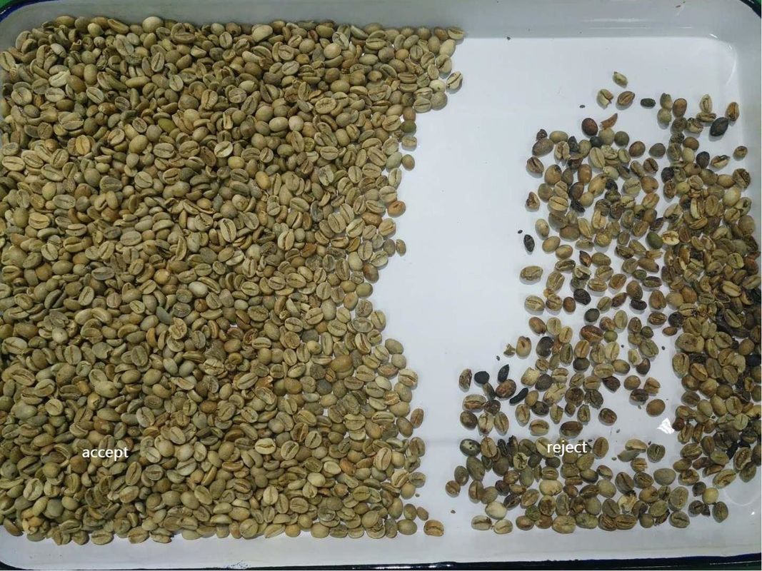 Vaglio di Mini Smart Coffee Beans Nut con 32 canali Nir Sensor