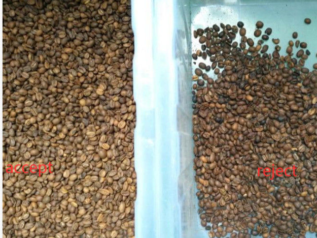 Sortitore di colore dei chicchi di caffè verde Mini Sortitore di colore del caffè crudo tostato