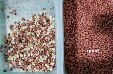 Alimentazione elettrica matta di Meanwell del vaglio di colore dell'arachide della mandorla di 8 scivoli