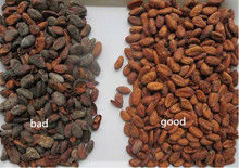 1 CCD di RGB di capacità di lavorazione di Sorte di colore della cinghia delle fave di cacao di Ton/H