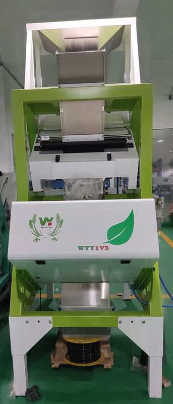 Macchina verde 200kg/H del selezionatore di colore del tè nero con la telecamera CCD di RGB