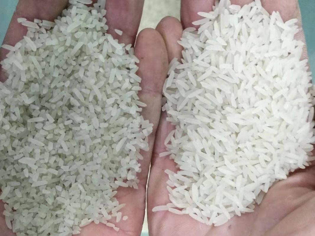 Vaglio di colore del riso di 32 Channnels Mini Rice Color Sorter Machine ampiamente usato nel mercato dell'Indonesia