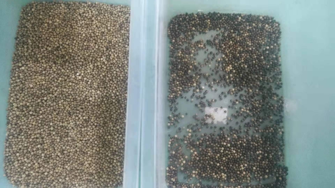 CCD automatico multifunzionale del selezionatore di colore del riso del sesamo del grano della quinoa del cereale ottico