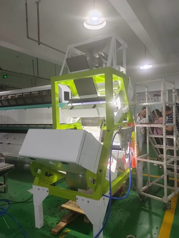 Macchina di WENYAO Flower Tea Color Sorter per la selezione gialla dei bastoni