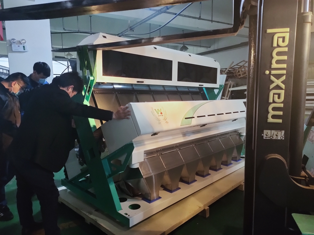 Fagioli Riso Macadamia Anacardi Color Sorter Machine Con Luce Led Avanzata