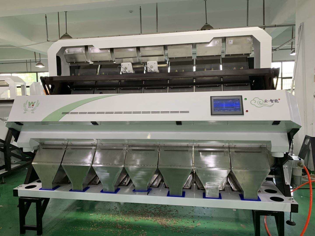 Un vaglio di verdure di 448 canali per la linea di trasformazione dell'aglio non sbucciato