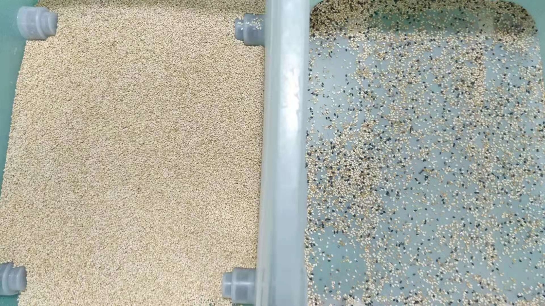 CCD automatico multifunzionale del selezionatore di colore del riso del sesamo del grano della quinoa del cereale ottico