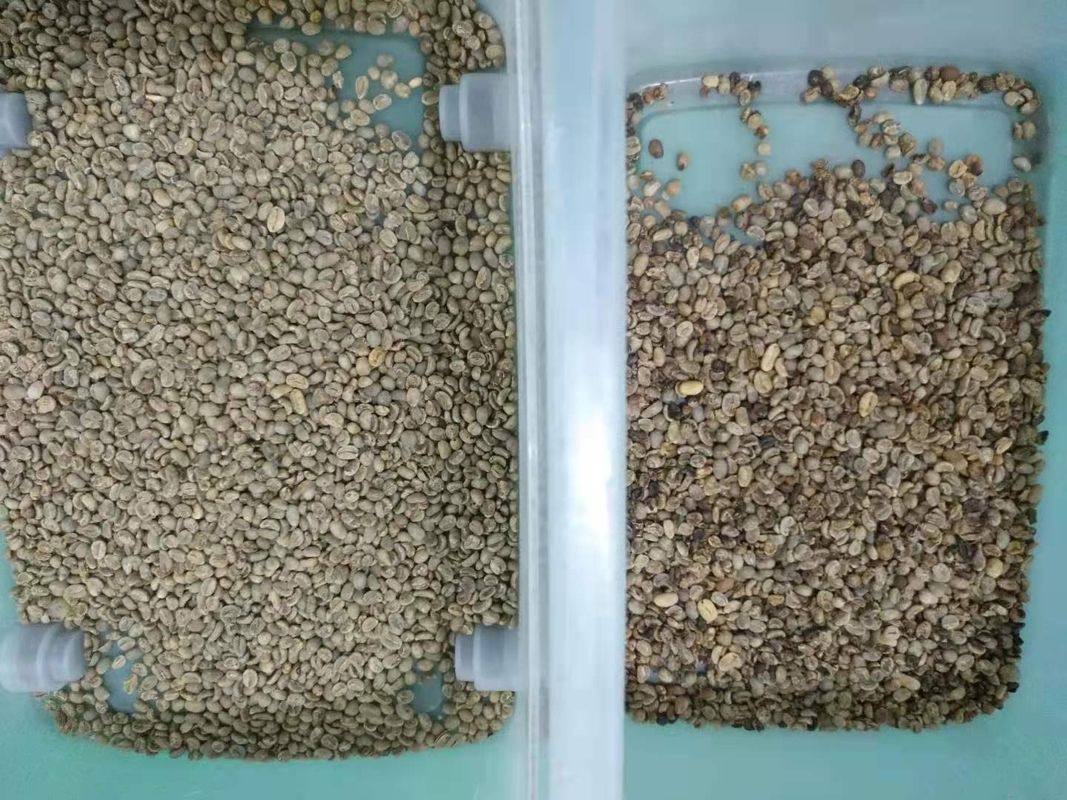 Un caffè Bean Color Sorting Machine Wenyao di 3 canali degli scivoli 192