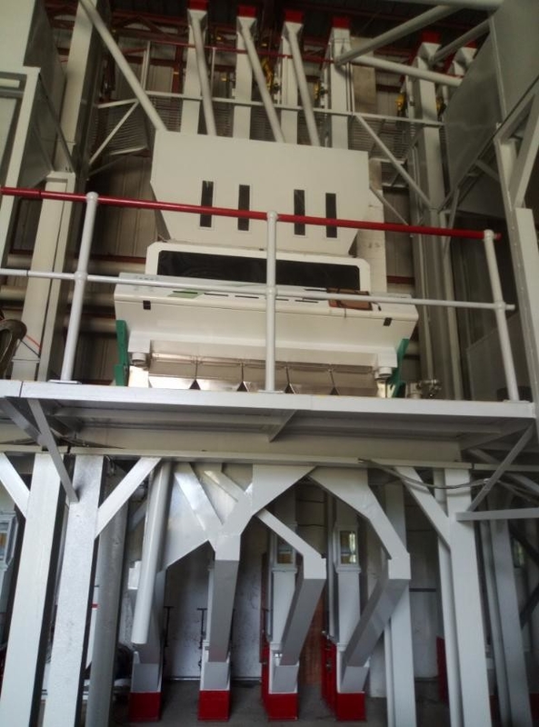 Cinorrodo Berry Mustard Seed Color Sorter cinque scivoli