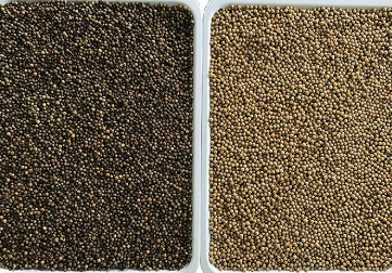 CCD automatico multifunzionale del selezionatore di colore del riso del sesamo del grano della quinoa del cereale ottico