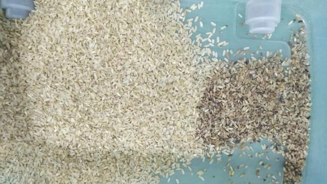 separatore ottico automatico di colore del riso della macchina del riso del selezionatore di colore di alta precisione