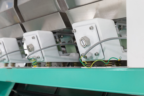 Verde Bean Color Sorting Machine del CCD 192 canali