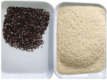 Canali della macchina 32 del CCD Mini Brown Rice Color Sorting