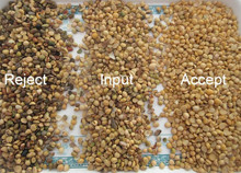 Accuratezza di Bean Color Sorter 99,90% della soia del vaglio di colore della soia degli scivoli del CCD 6 di RGB