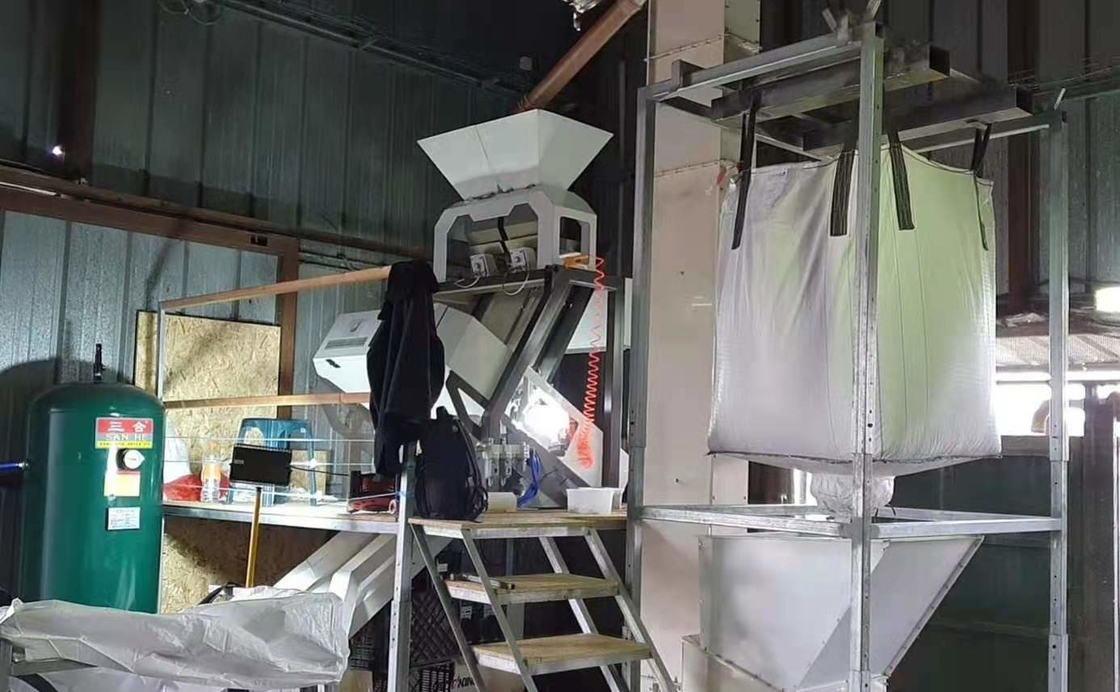 La noce di macadamia semina gli scivoli di Bean Grain Color Sorting Machine 1 64 canali