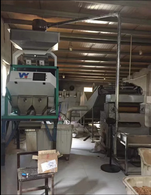 La noce di macadamia semina gli scivoli di Bean Grain Color Sorting Machine 1 64 canali