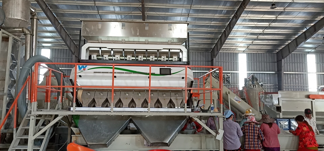 Capacità di lavorazione ottica del vaglio 4000kg/H del grano della telecamera CCD 320 canali