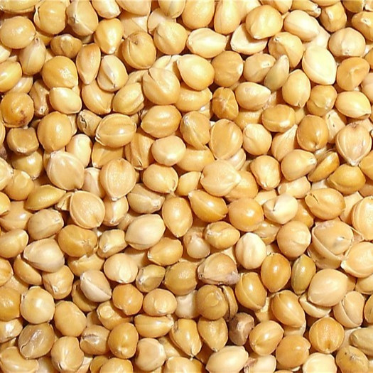 Selezionatore di colori Wenyao Ccd con telecomando Wifi per mais, avena, sorgo, fave di cacao