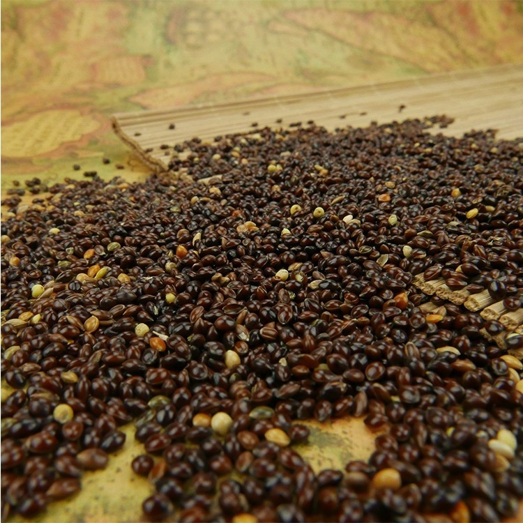 Caffè automatico Bean Color Sorter Machine For che ordina i fagioli