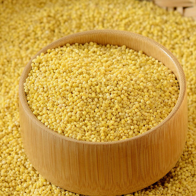 Vaglio di Wenyao Top Quality Millet Color popolare negli Stati Uniti