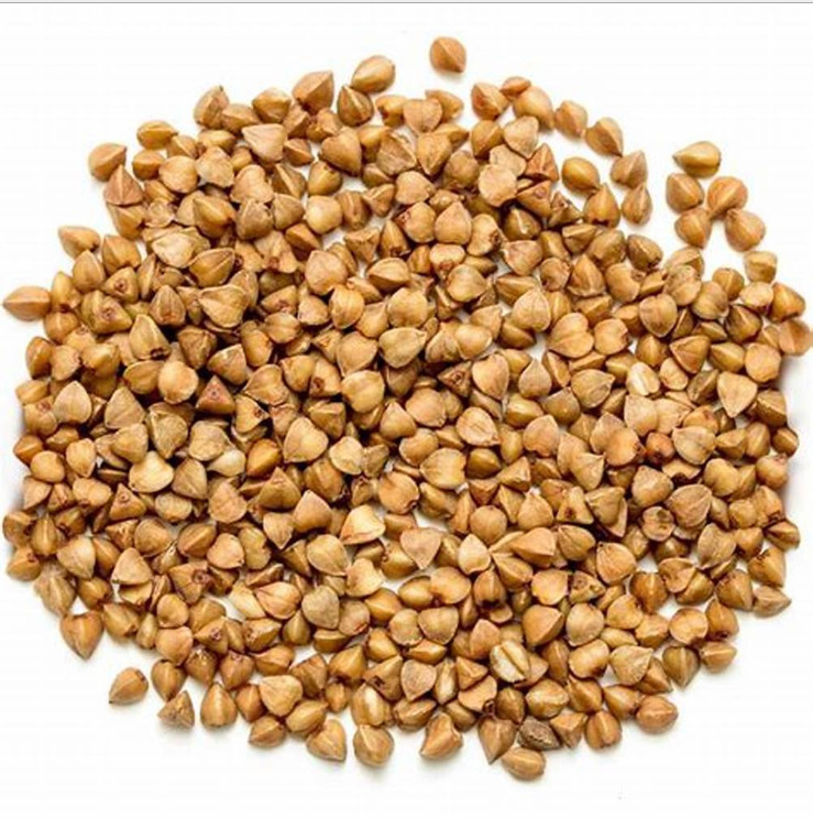 128 scivoli del selezionatore 2 di colore del grano del grano dei canali
