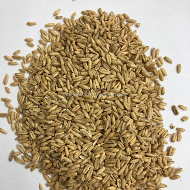 Vaglio di colore dell'avena del grano per il grano dell'orzo