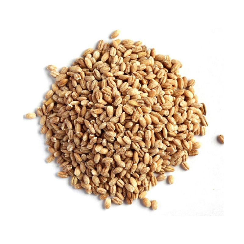 Wenyao Farm Machines 4 dilaga il selezionatore ottico di colore del grano del fornitore del selezionatore