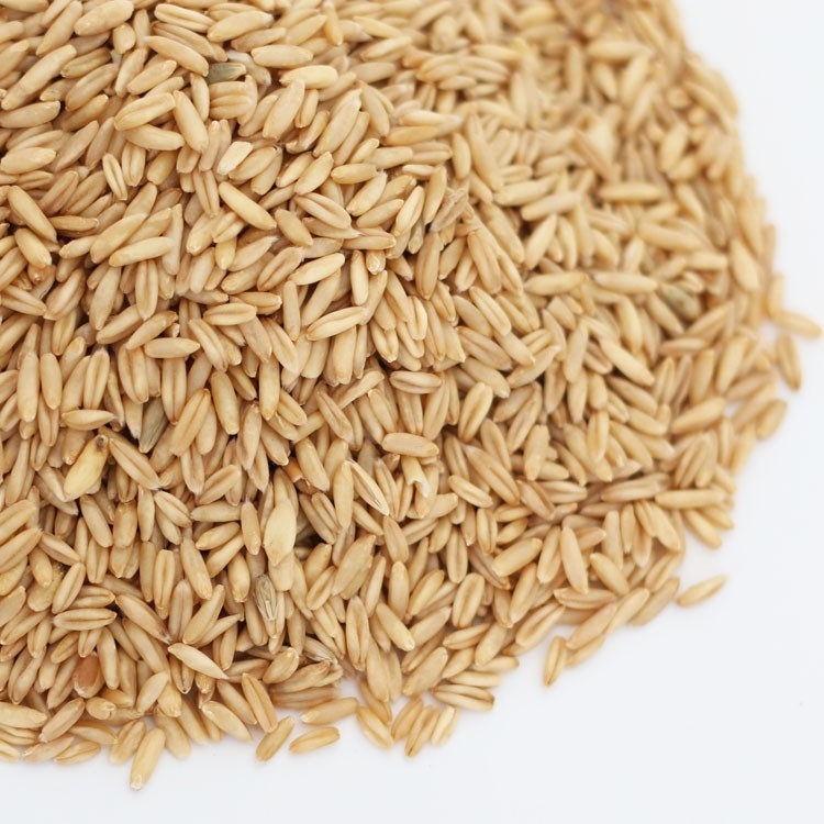 La macchina 7 del selezionatore di colore del grano dell'avena fa scendere 2 anni per mezzo di uno scivolo di garanzia