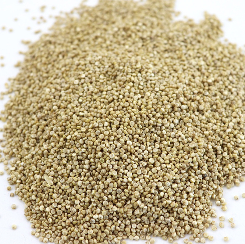 Scivolo della macchina 1 del selezionatore di colore del grano della quinoa del CCD del LED piccolo
