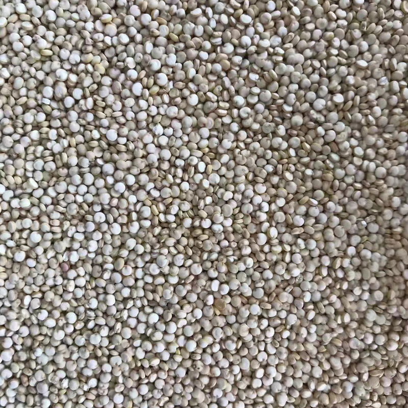 Scivolo della macchina 1 del selezionatore di colore del grano della quinoa del CCD del LED piccolo