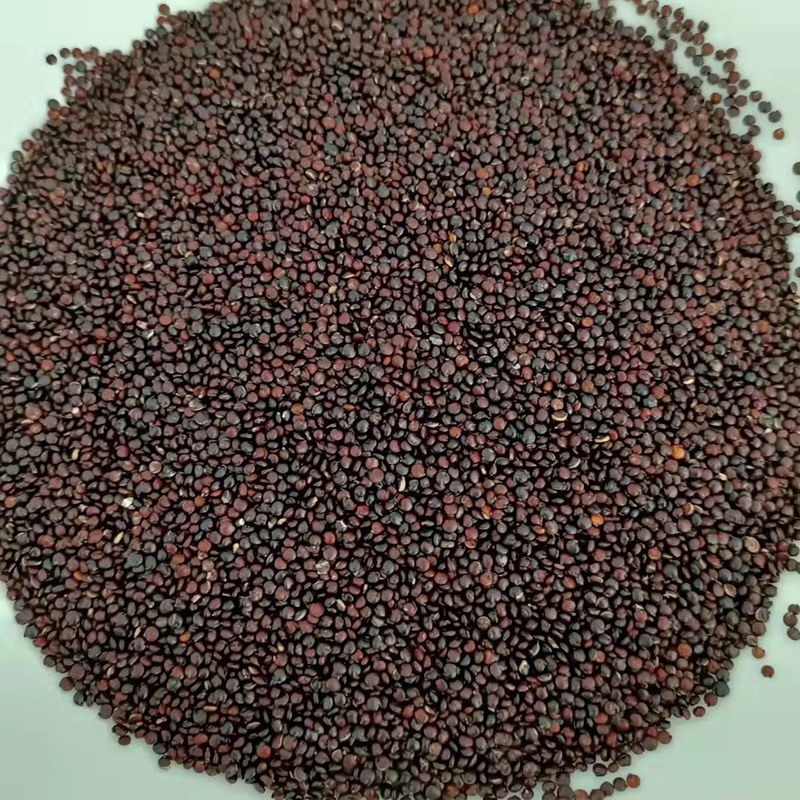 Scivolo della macchina 1 del selezionatore di colore del grano della quinoa del CCD del LED piccolo