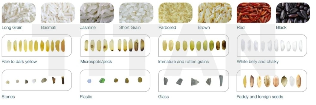 Vaglio di colore del cereale della noce del sesamo del riso del CCD di WENYAO Color Sorter Optical