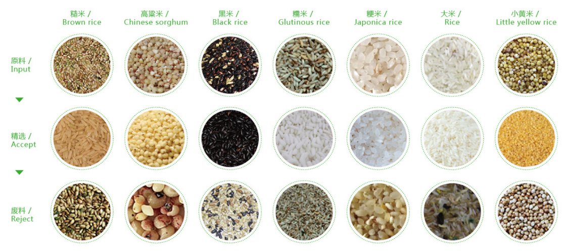 Vaglio di colore del cereale della noce del sesamo del riso del CCD di WENYAO Color Sorter Optical