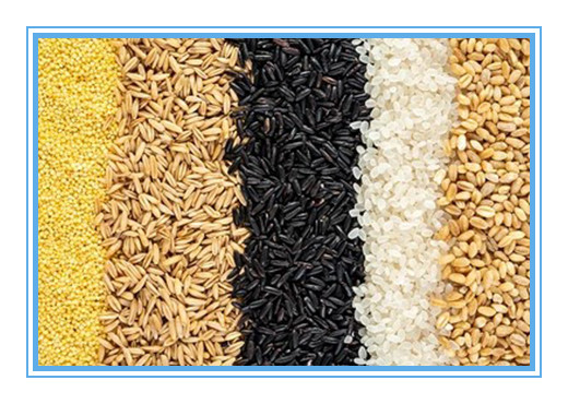 La macchina del separatore di colore di cereale del grano della più grande capacità con il CCD LED accende caldo nel Brasile
