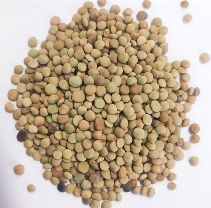 Macchina automatica agricola del selezionatore di colore del grano della Cina calda negli Stati Uniti