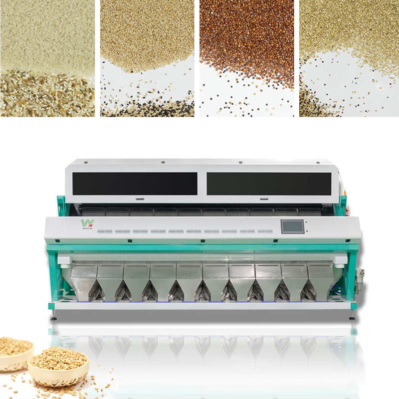 Macchina bassa del selezionatore di colore del grano del grano di capacità elevata di vendita diretta Sumption della fabbrica