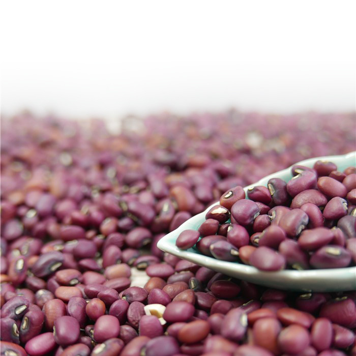 Macchina 1 Ton Per Day di Mini Red Beans Color Sorter della vendita all'ingrosso della fabbrica della Cina