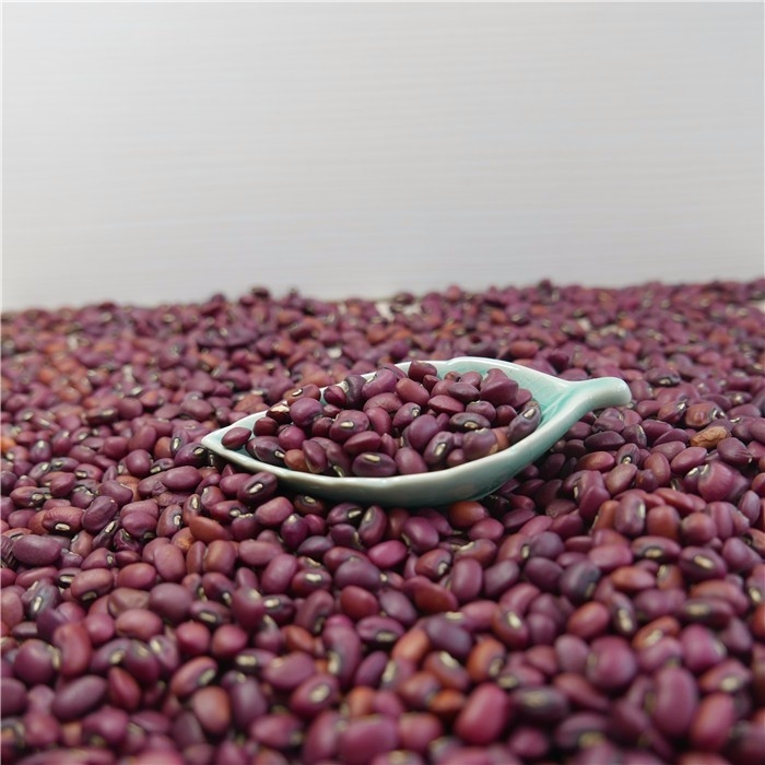Macchina 1 Ton Per Day di Mini Red Beans Color Sorter della vendita all'ingrosso della fabbrica della Cina