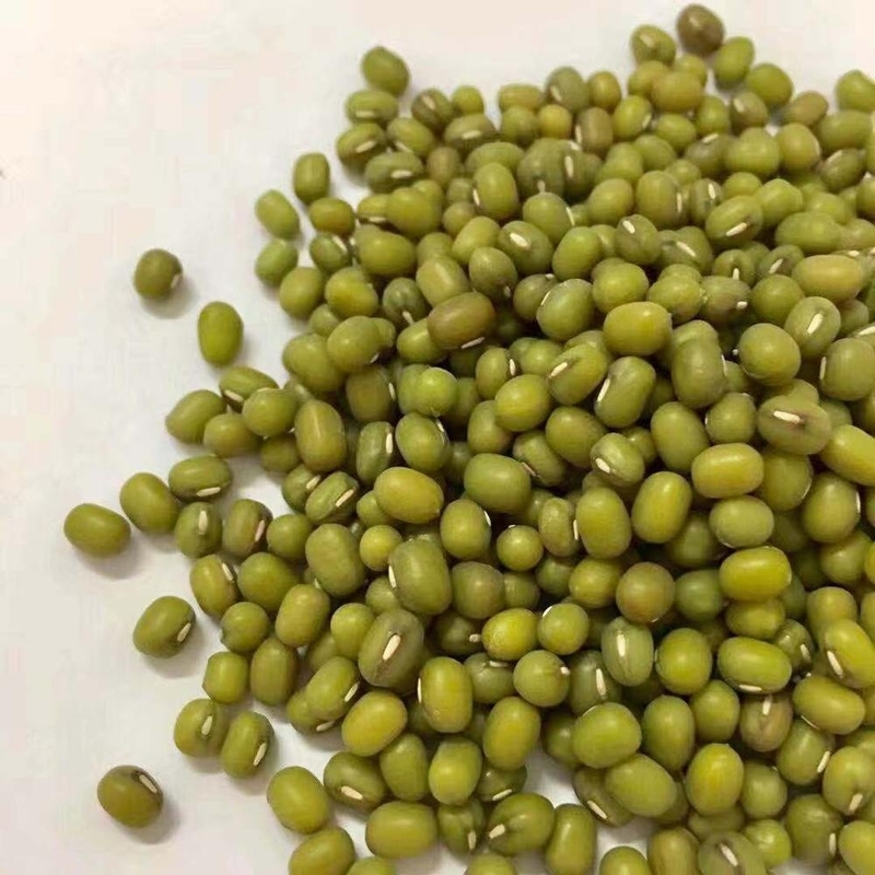 I fagioli verdi ottici del CCD di capacità elevata e di alta efficienza colorano il vaglio