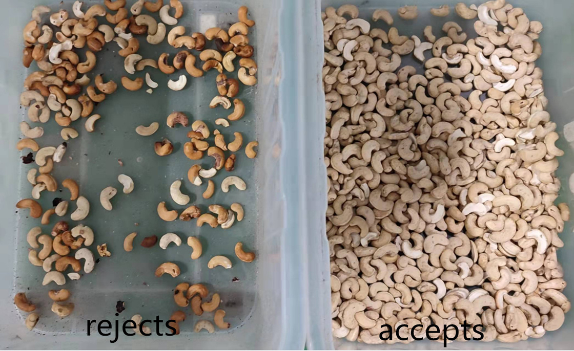 Selezionatore automatico di colore di Rgb dell'orzo del grano per i fagioli del grano commerciali